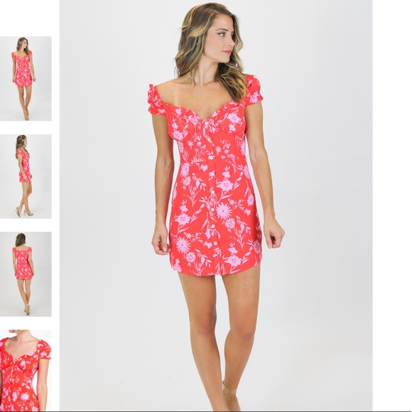 l’abeye Dresses & Skirts - NWT Calypso Floral Button Down Mini